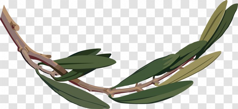 Olive Branch Clip Art - Wreath Transparent PNG
