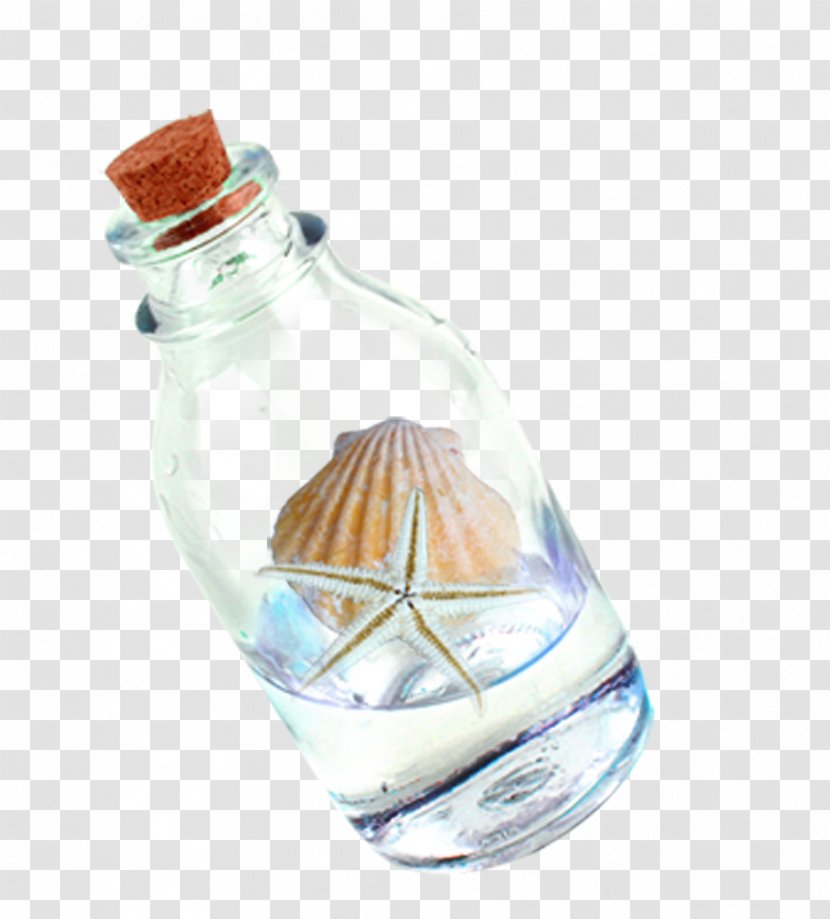 Bottle Clip Art - Beach - Feeding Transparent PNG