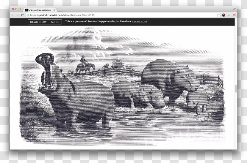 Hippopotamus Indian Elephant KATC Acadiana Lafayette - Wildlife - Nonsense Word Transparent PNG