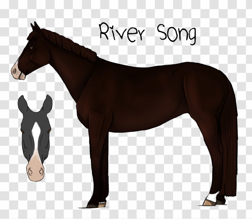 Mustang Stallion Mare Rein Pack Animal - Horse Like Mammal - River Song Transparent PNG