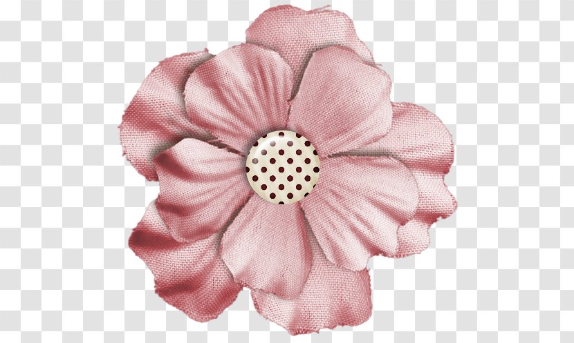 Cut Flowers Rose Family Pink M Petal - Peaches And Cream Transparent PNG
