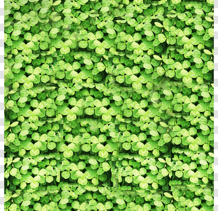 Plant Euclidean Vector Green Icon - Vegetation - Clover Basemap Transparent PNG