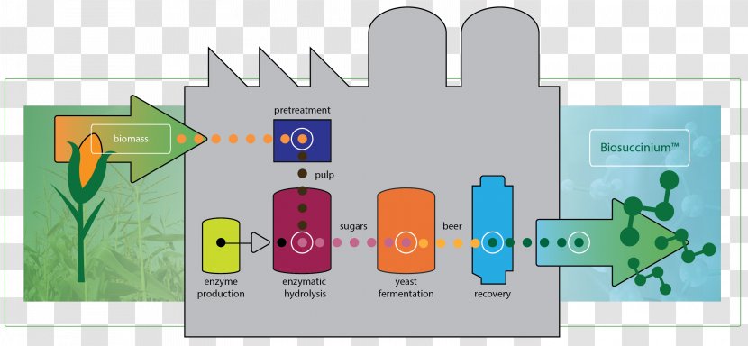 Technology Biorefinery Biobased Economy Production Industry - Diagram Transparent PNG