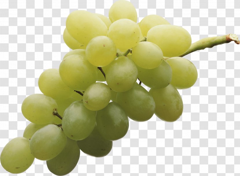 Pinot Meunier Sultana Grape Seedless Fruit Flame - Berry - Green Image Transparent PNG