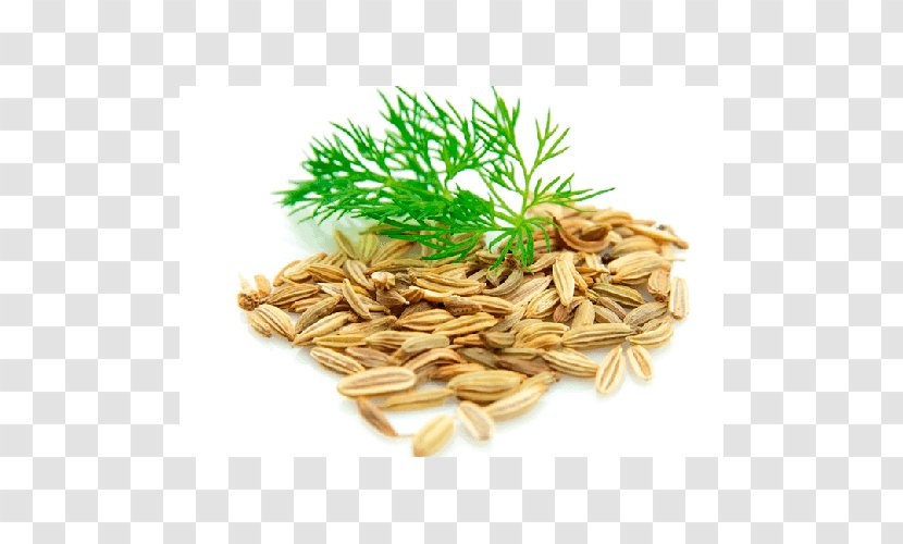 Dill Seed Fennel English Lavender Herb - Flavor - Superfood Transparent PNG