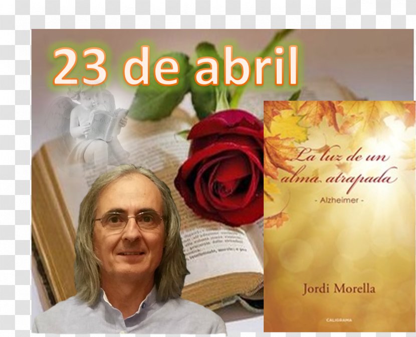 La Luz De Un Alma Atrapada: Alzheimer Floral Design Jordi Morella Advertising - Petal - Sant Joan Transparent PNG