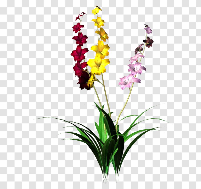 Flower Drawing - Flowerpot Transparent PNG