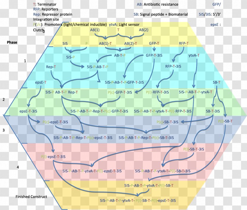 Water Resources Ecoregion Map Land Lot - Naval Architecture - Pathway Transparent PNG