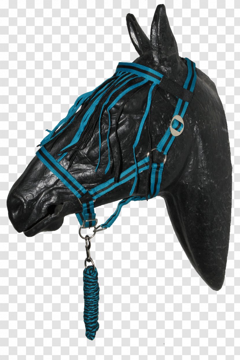 Halter Bridle Shetland Pony Horse Harnesses Mustang - Sellerie Online - Coutry Transparent PNG