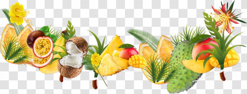 Tropical Fruit Rainforest Tropics - Petal Transparent PNG