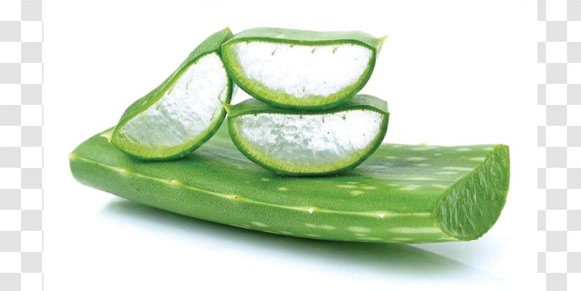 Aloe Vera Acne Skin Care Gel Aloin - Fruit - Leaf Transparent PNG