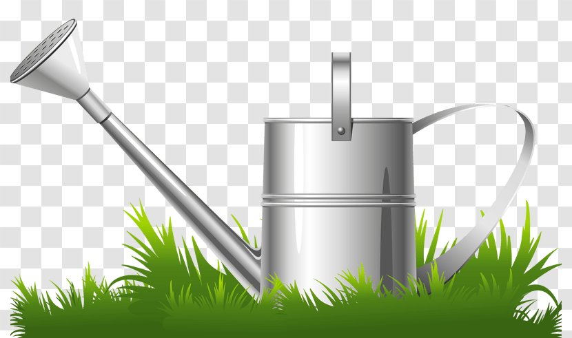 Vector Graphics Flower Garden Clip Art Watering Cans - Grass Family - Water Transparent PNG