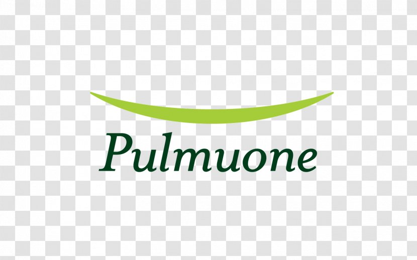 Logo Brand Product Design Pulmuone - Cultural Festival Transparent PNG