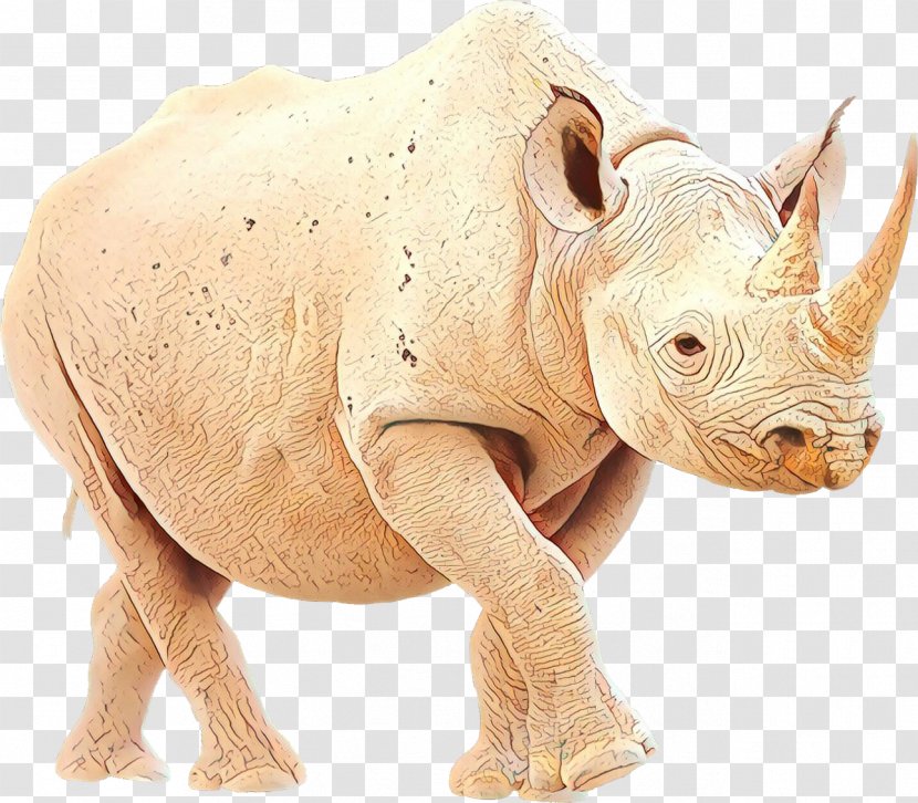 Terrestrial Animal Rhinoceros Fauna Snout - Horn Transparent PNG