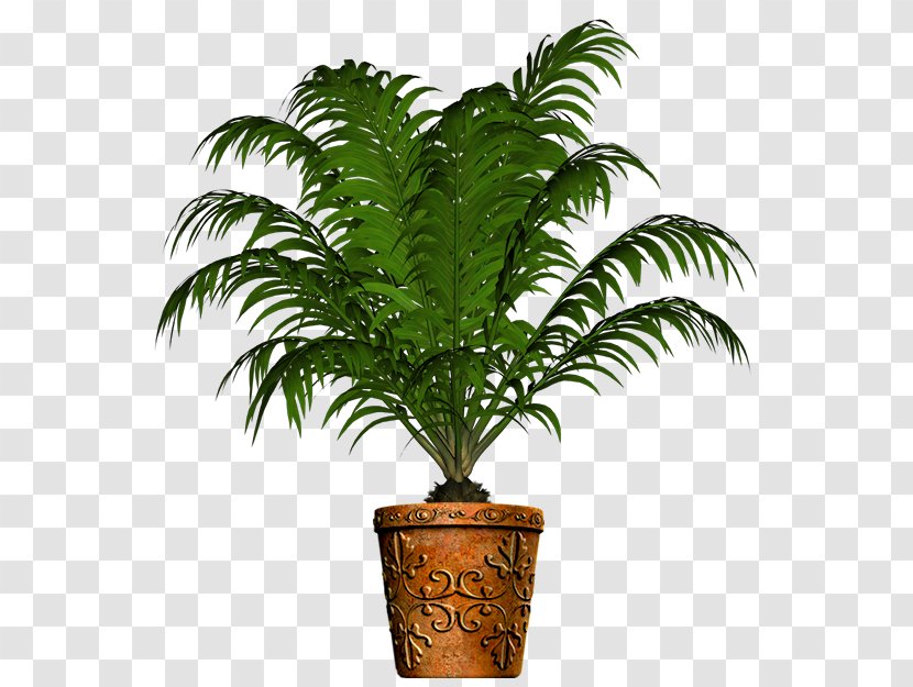 Date Tree Leaf - Arecales - Ferns And Horsetails Palm Transparent PNG