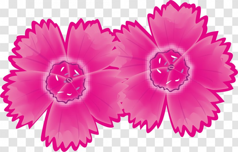 Carnation Peony Pink M Herbaceous Plant Dahlia Transparent PNG