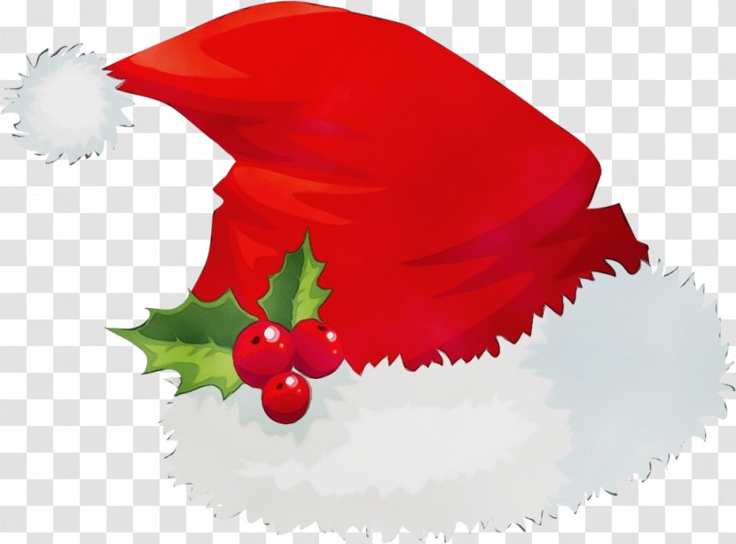 Holly - Flower - Tree Transparent PNG