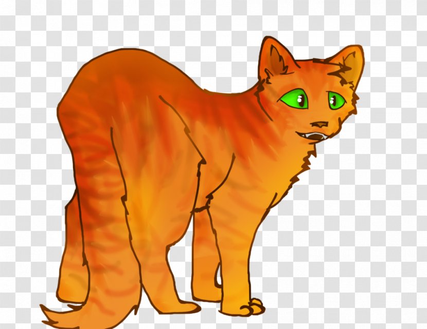Cat Whiskers Into The Wild Golden State Warriors - Dog Like Mammal Transparent PNG