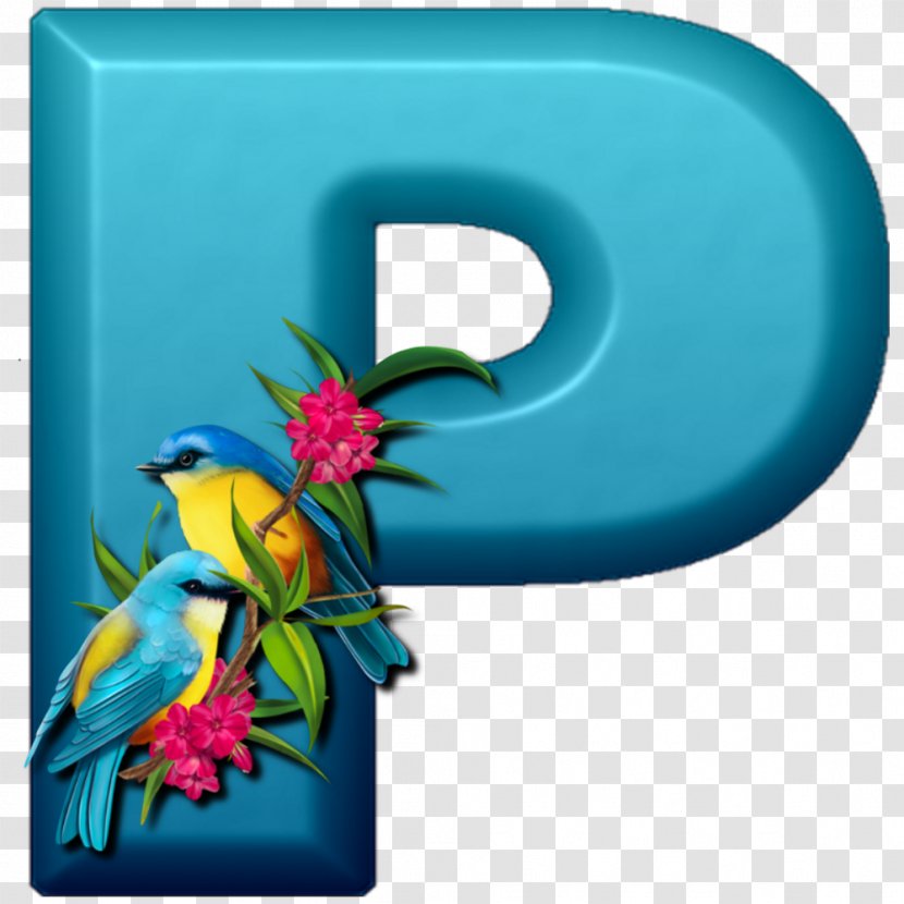 Alphabet Bird Letter Passerine - Dois Passarinhos Transparent PNG