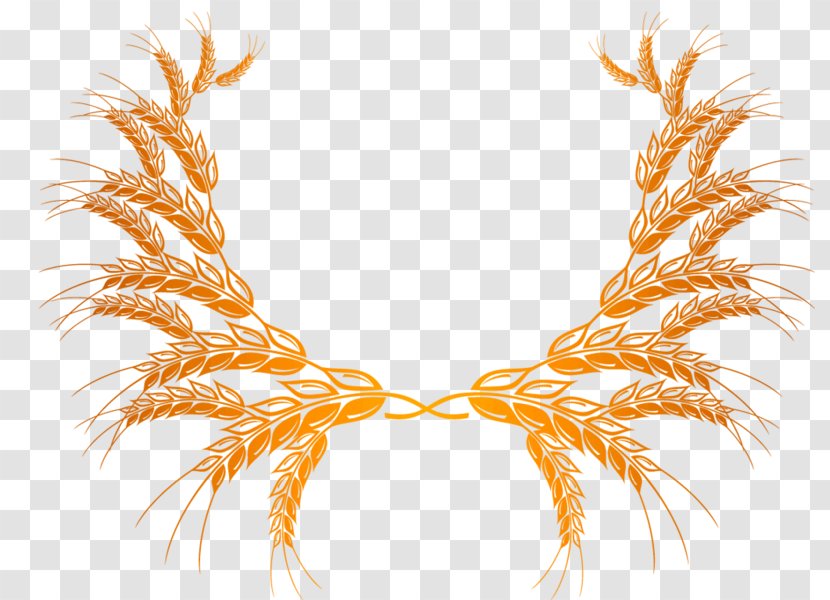 Wheat Bran Clip Art Transparent PNG