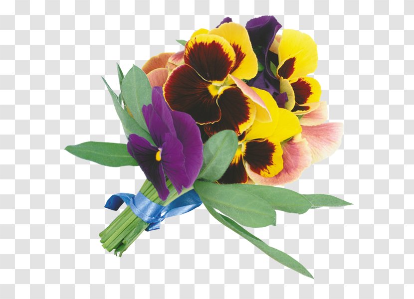 Flower Bouquet Cut Flowers Pansy Clip Art - Seed Plant Transparent PNG