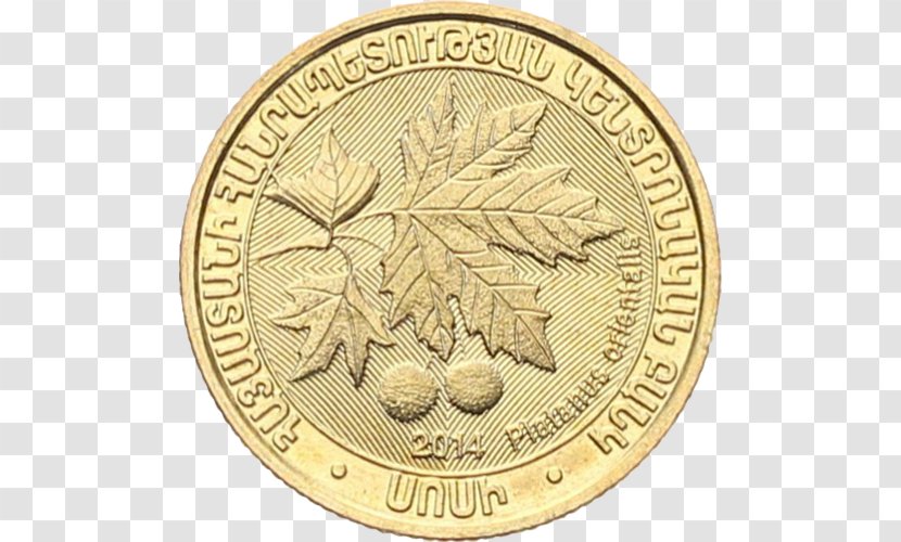 Kingdom Of Italy Coin Fiat Money Italian Republic Gold Standard Transparent PNG