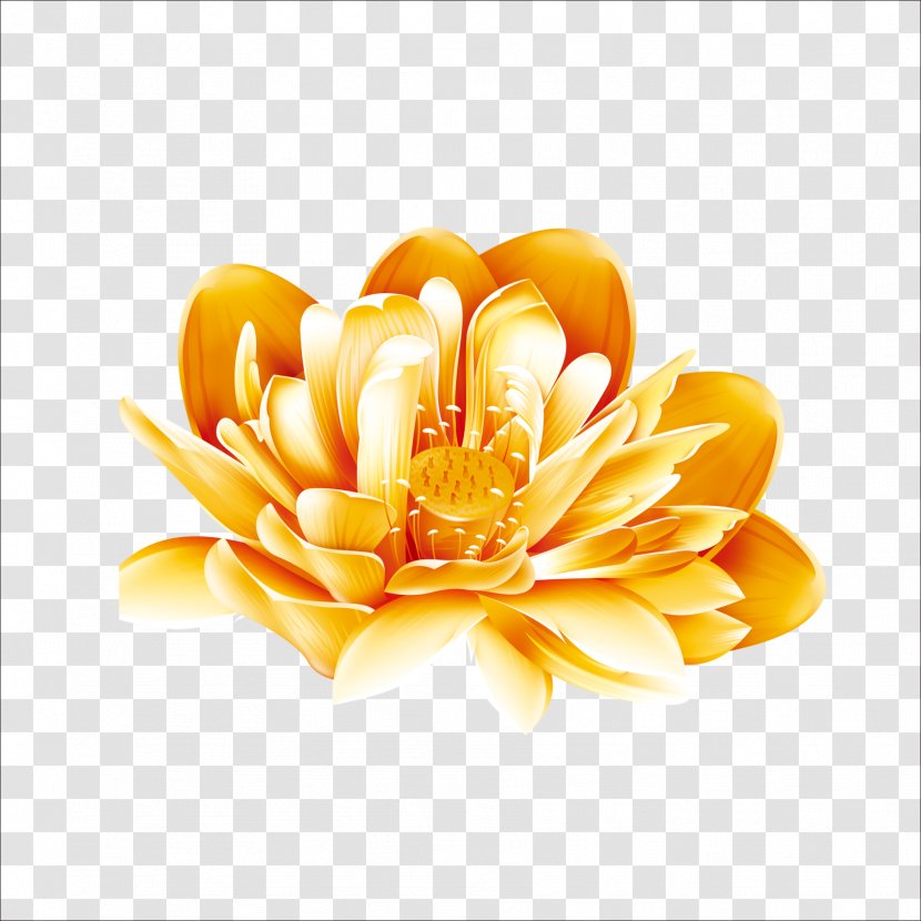 Gold Download - Flowering Plant - Lotus Transparent PNG
