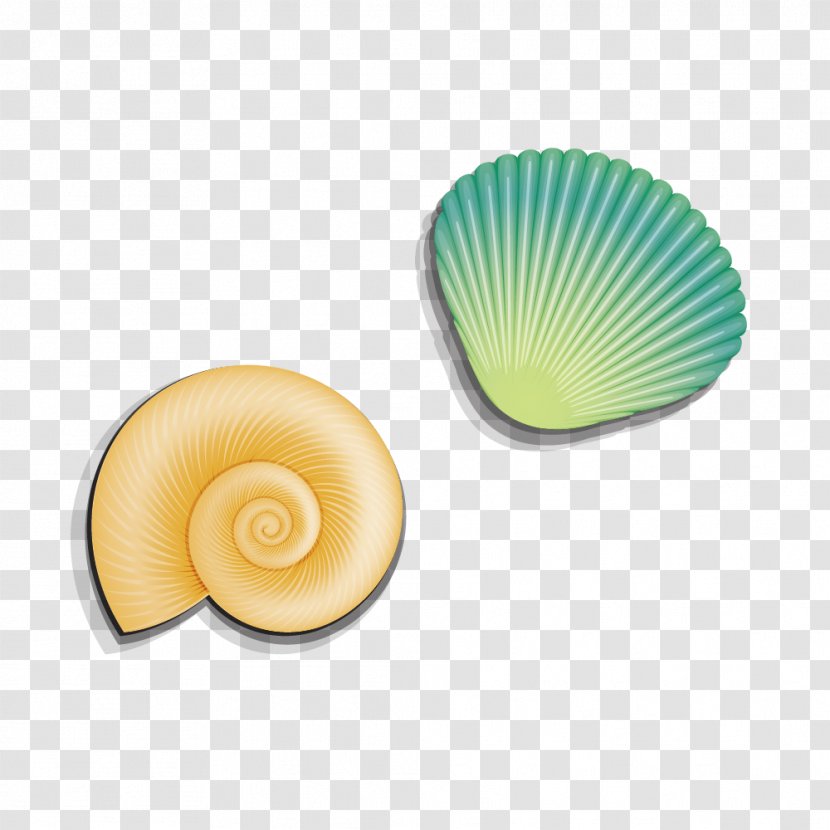 Seashell Sea Snail Clip Art - Conch Shell Transparent PNG