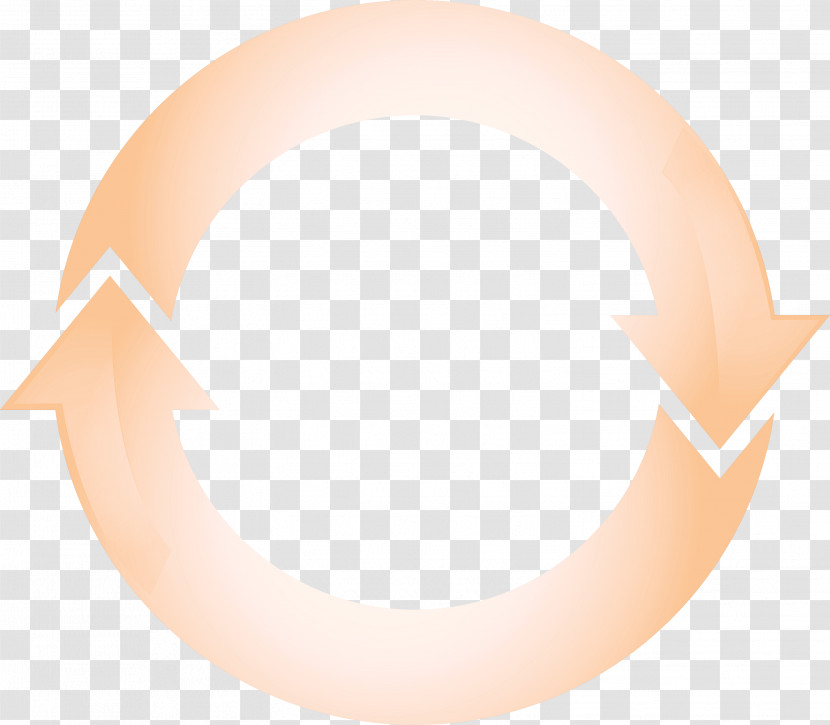 Orange Transparent PNG