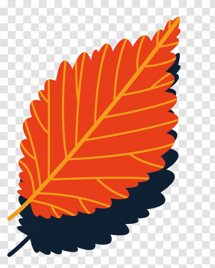 Leaf Element - Orange - Autumn Leaves Vector Background Transparent PNG