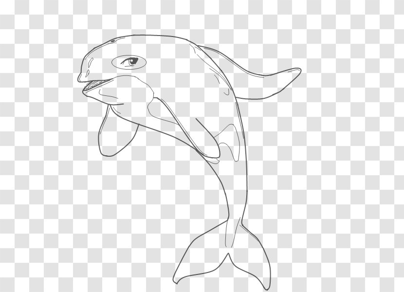 Dolphin White Line Art Sketch - Diagram - Pictures Of Dolphines Transparent PNG