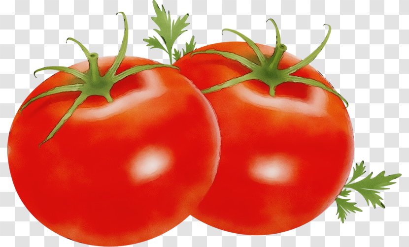 Tomato - Food - Plant Plum Transparent PNG