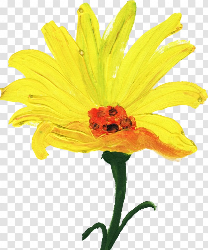 Cut Flowers Yellow Common Sunflower - Marigold Transparent PNG
