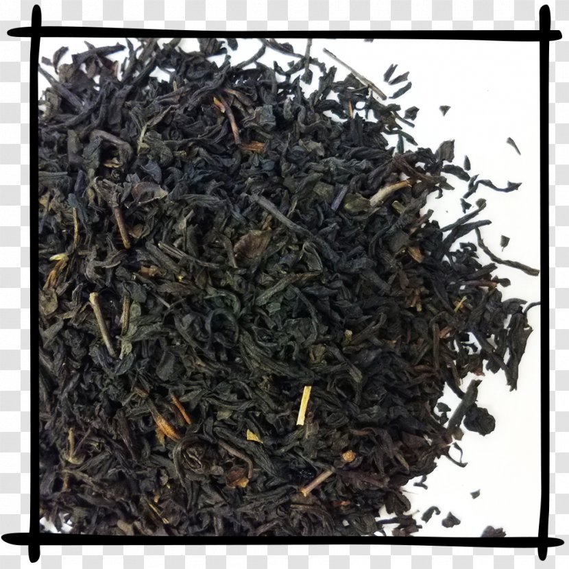 Lapsang Souchong Nilgiri Tea Darjeeling Earl Grey Keemun Transparent PNG