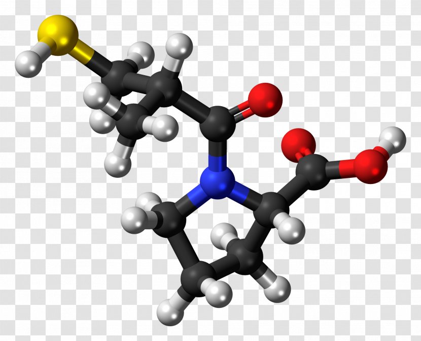 Captopril Dietary Supplement Ramipril Enalapril Perindopril - Side Effect - Aldosterone Transparent PNG