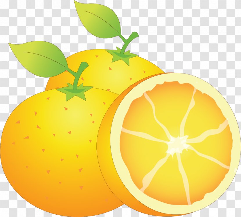 Lemon Mandarin Orange Food Citron Grapefruit - Vegetarian Transparent PNG