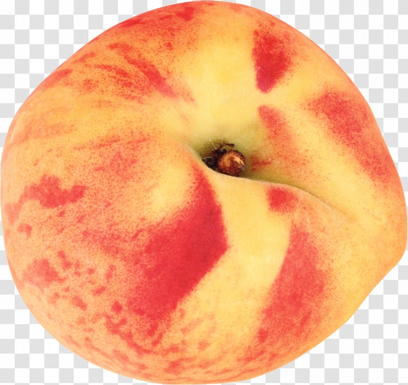 Nectarine Icon - Food - Peach Image Transparent PNG