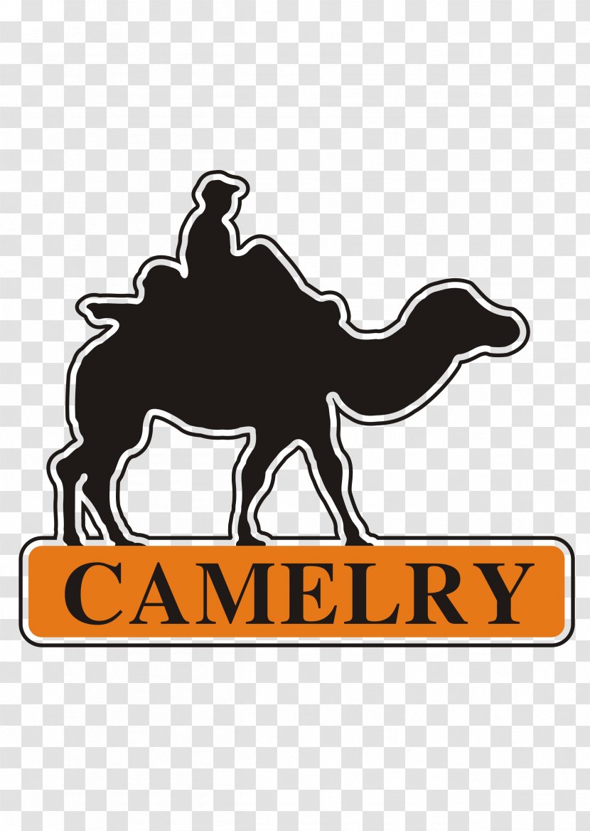 Camel Logo Clip Art - Information - Pattern Transparent PNG