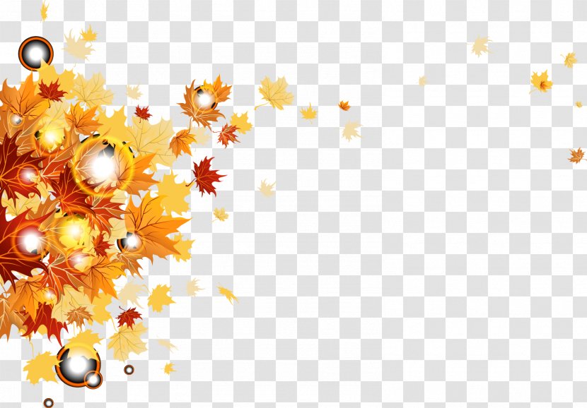 Stock Photography Clip Art - Autumn Leaves Vector Transparent PNG