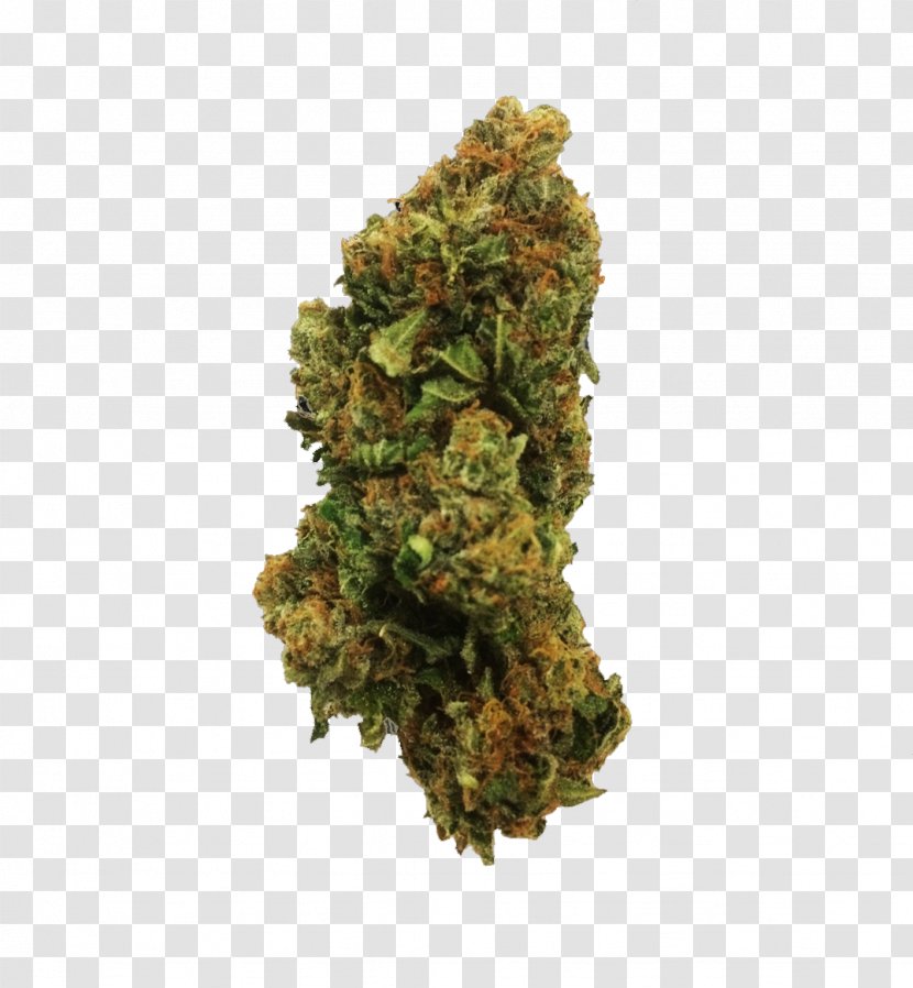 Medical Cannabis Kush Hashish Euphoria - Marijuana Transparent PNG