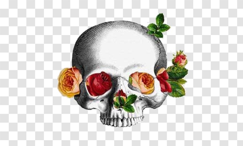 Calavera Flower Bone Skull - Floral Design - Flowers Bones Transparent PNG