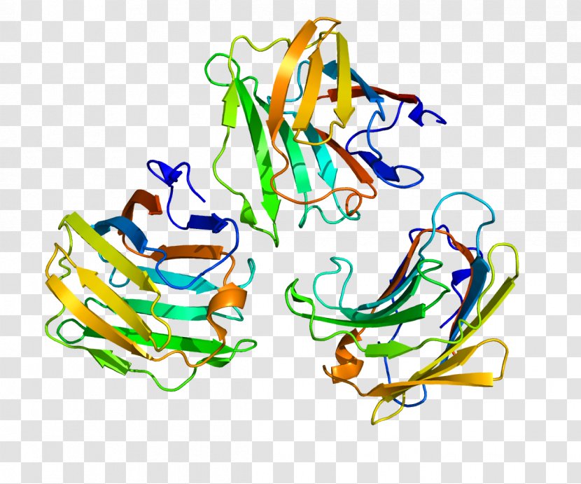Galectin-9 Wikipedia Protein Galectin-3 - Silhouette - Monocyte Transparent PNG