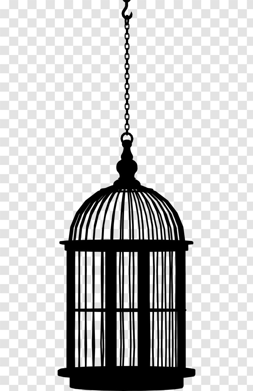 Birdcage Clip Art - Silhouette - Bird Transparent PNG