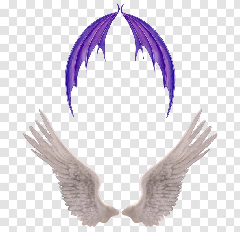 Image Drawing Painting Angel - Bird - Wings Transparent PNG