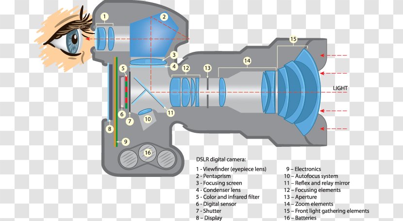 Digital SLR Cameras Single-lens Reflex Camera Photography Transparent PNG