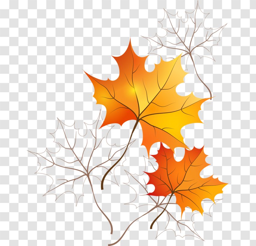 Picture Frames Autumn Leaf Color Desktop Wallpaper Transparent PNG