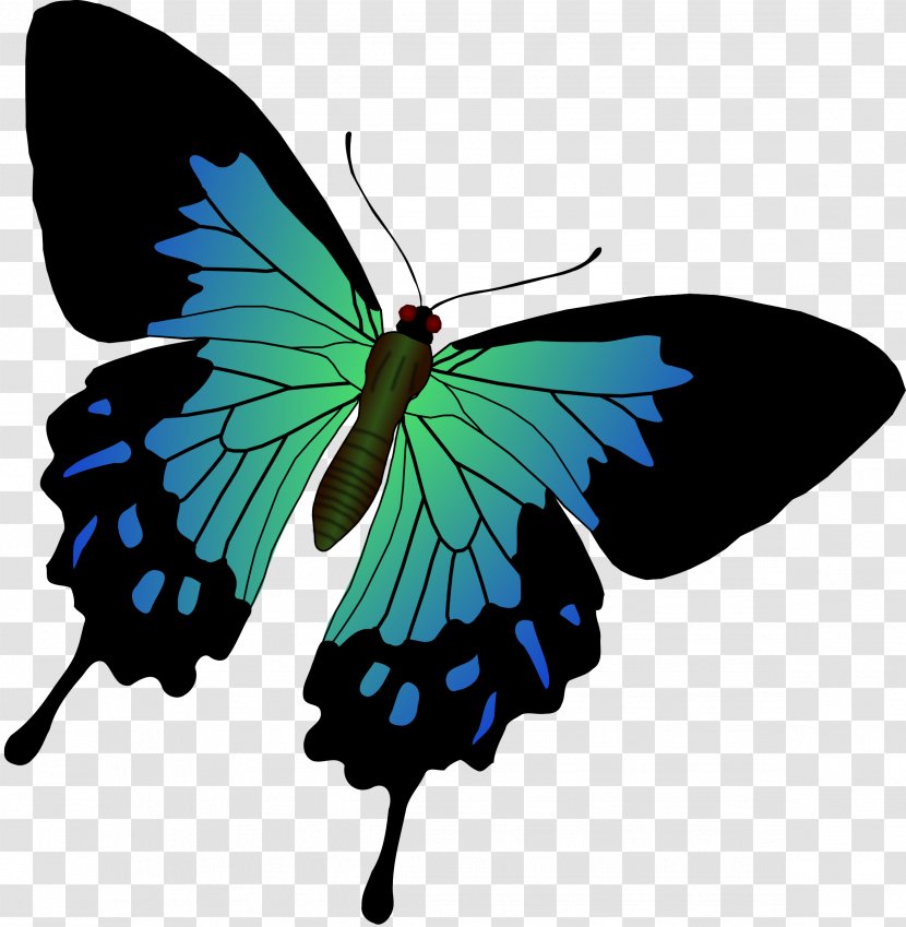 Swallowtail Butterfly Papilio Machaon Monarch Clip Art Transparent PNG