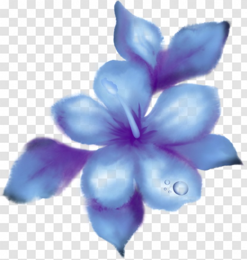 Hibiscus Mutabilis Egg Foo Young Blue Clip Art - Plant Transparent PNG