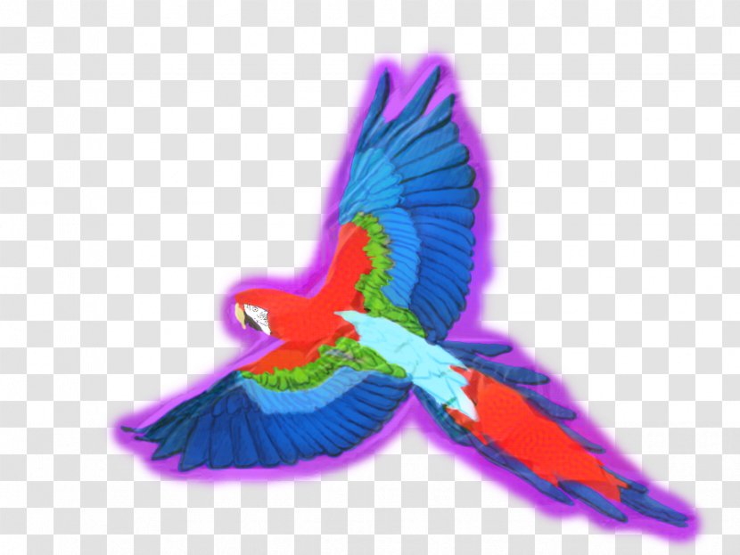 Bird Parrot - Violet - Hummingbird Transparent PNG