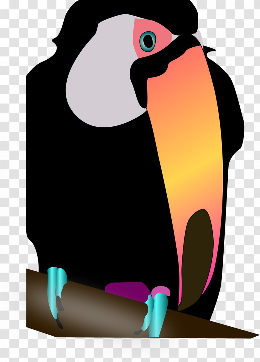Penguin - Beak - Piciformes Toucan Transparent PNG